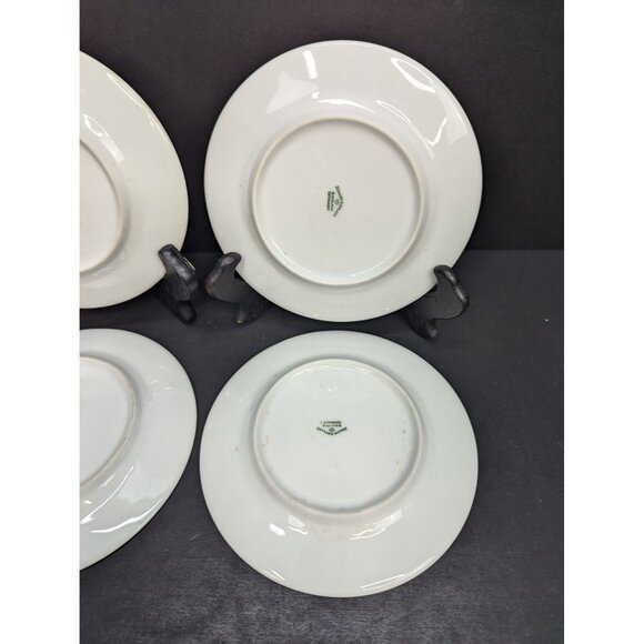 Johann Haviland Forever Spring Pattern Porcelain Dessert Plates Set of 4 - Picture 8 of 10